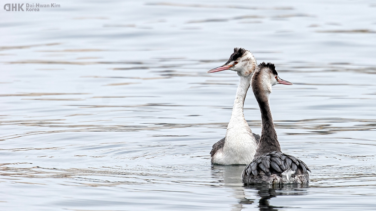 20100109-614 주문진.jpg