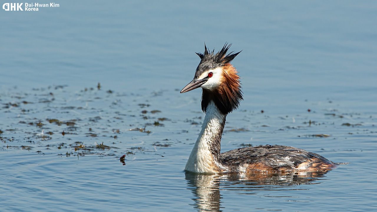 20130615_588 시화a.jpg