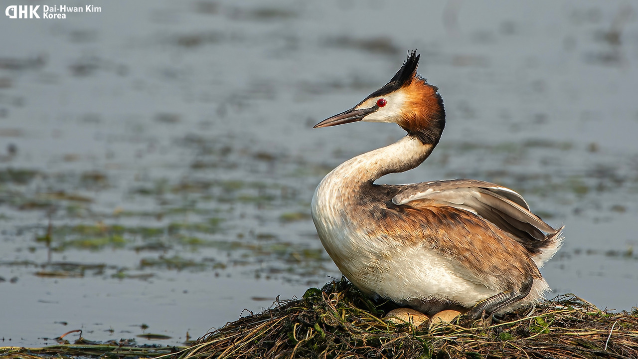20130602_036 시화.jpg