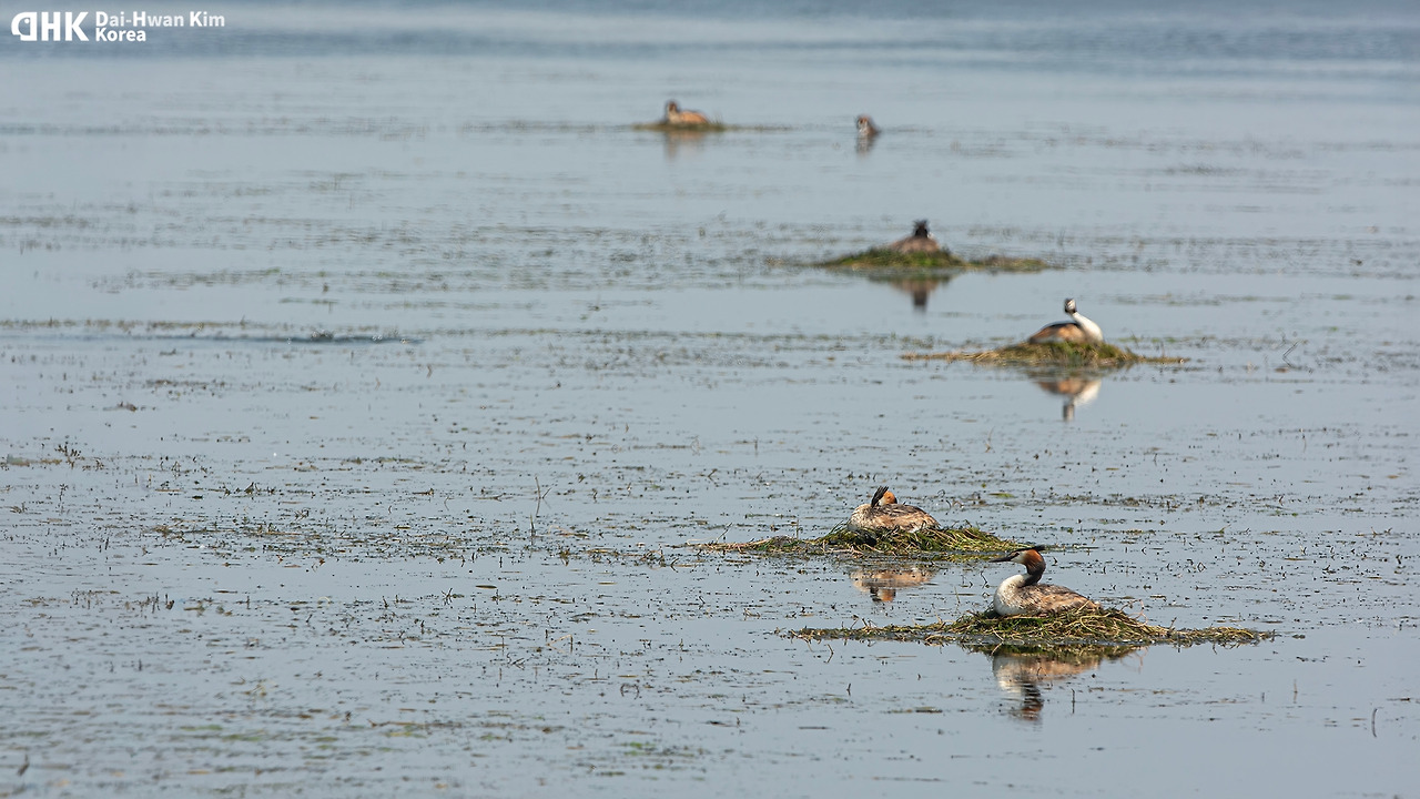 20130602_018 시화.jpg