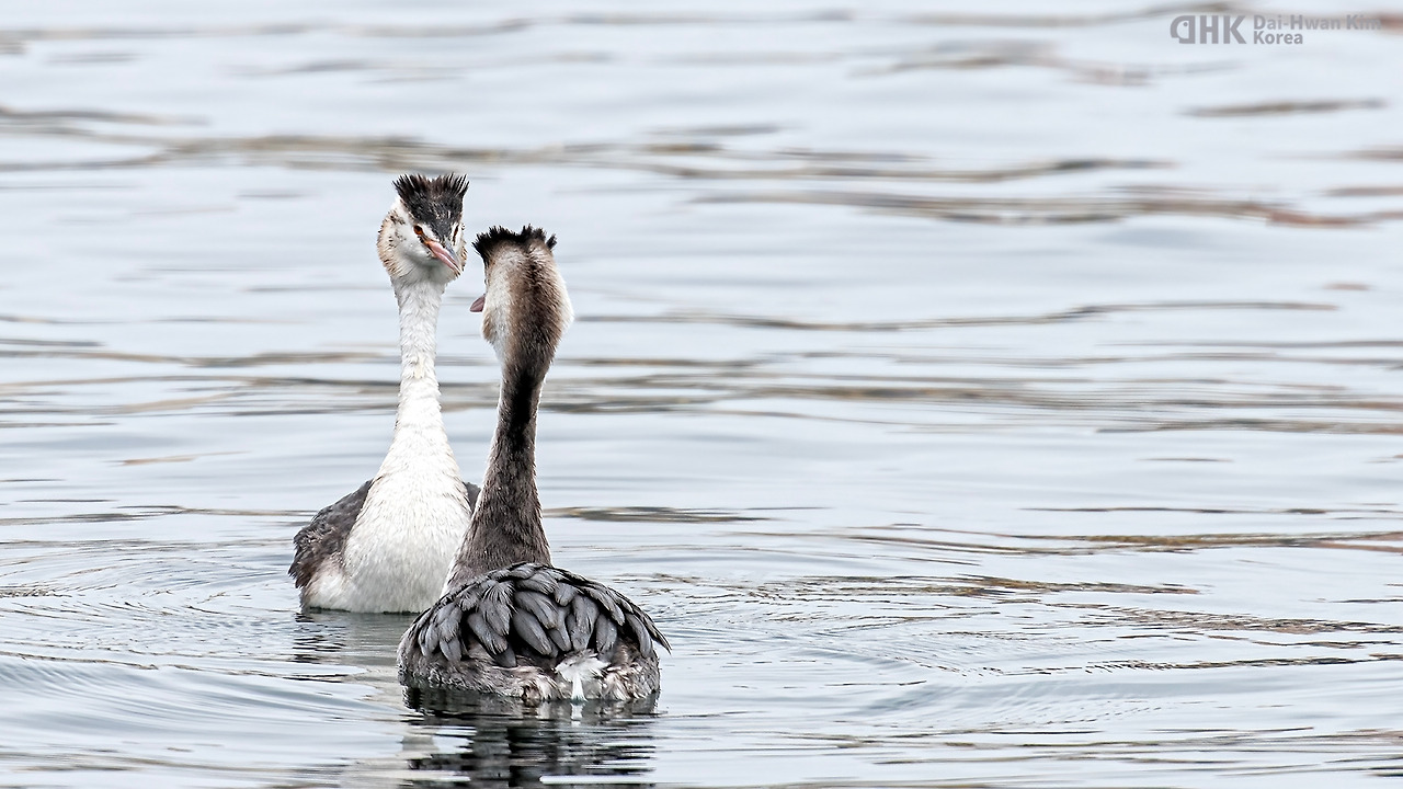 20100109-613 주문진.jpg