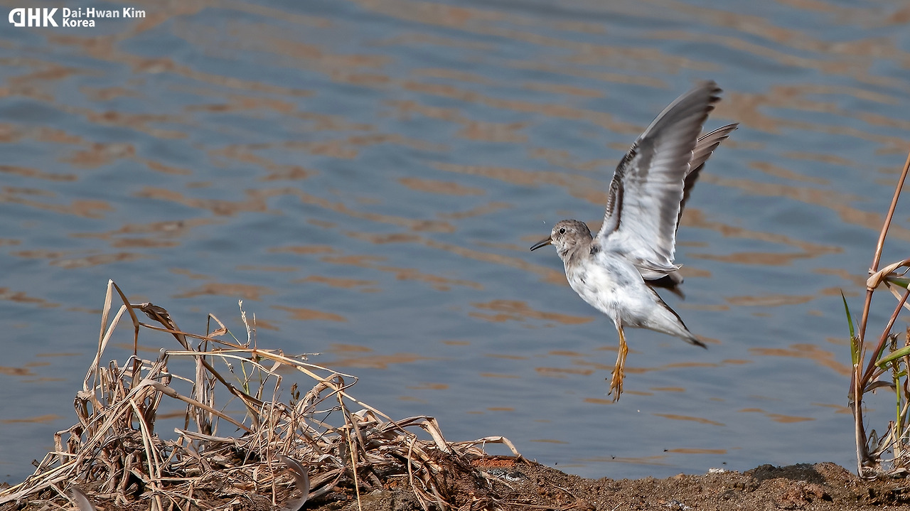 20121013_481 운평리.jpg