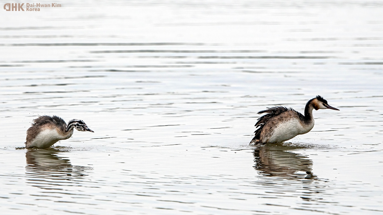 210828-264 천수만.jpg