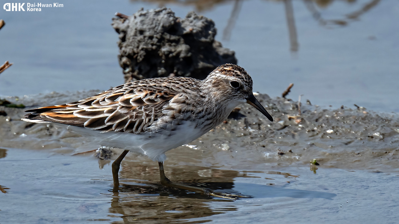 220504_418 화성호.jpg