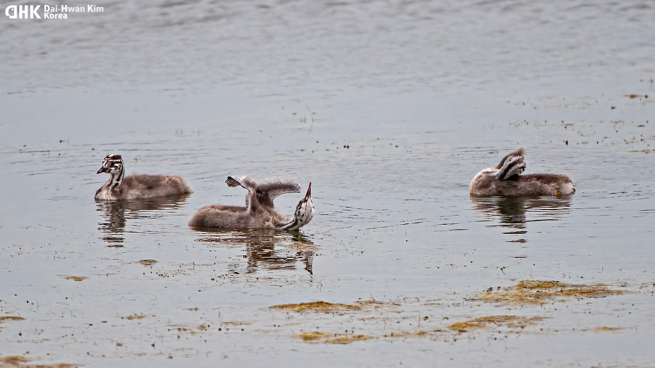 20120916_020 시화.jpg