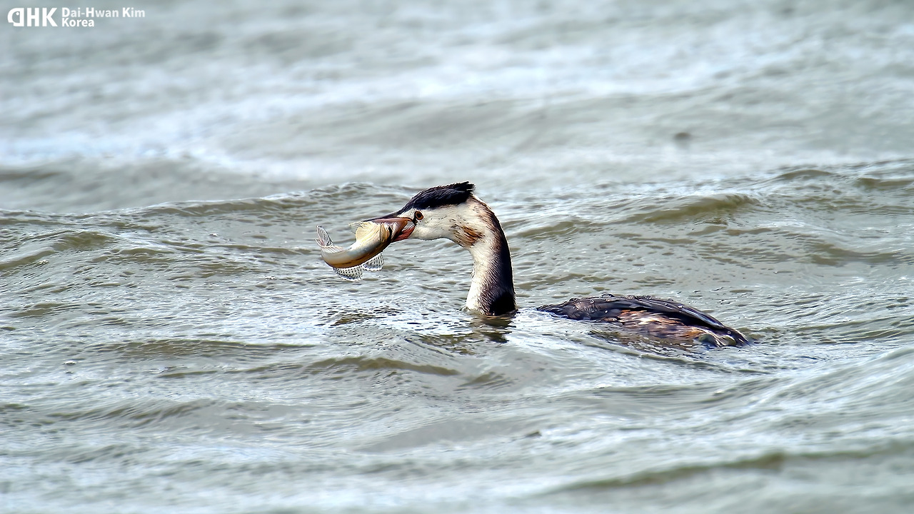 20051022-538 경포a.jpg