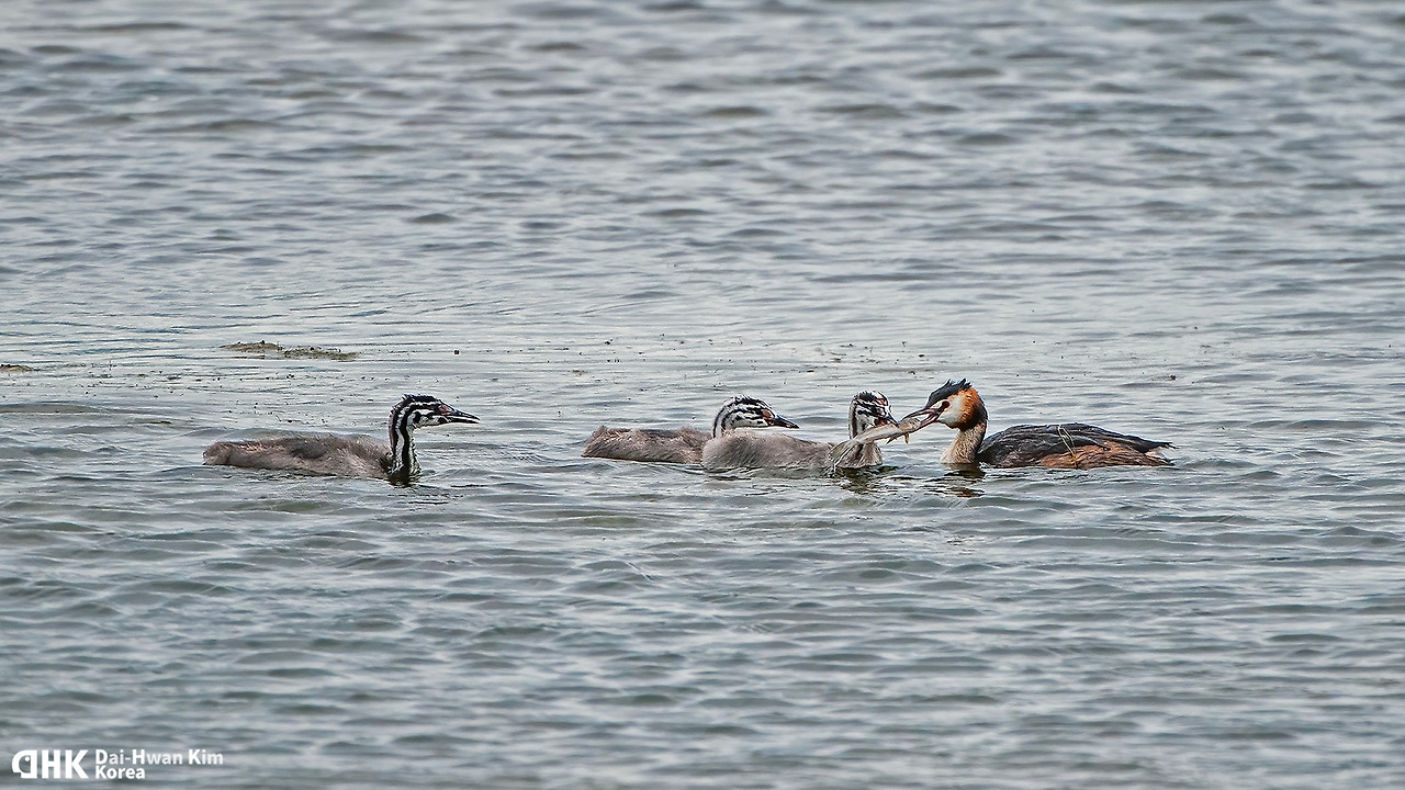 20120916_017 시화.jpg