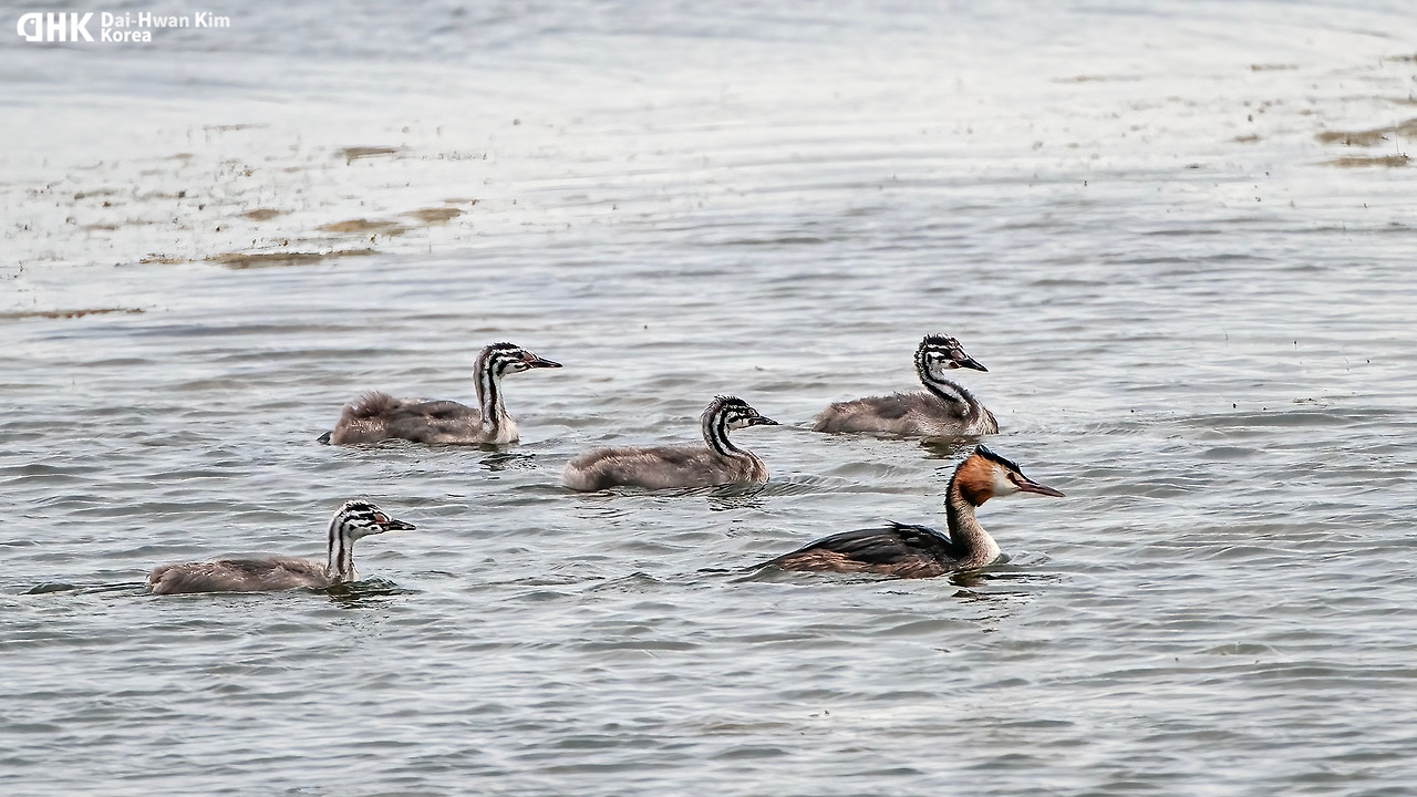 20120916_014 시화.jpg