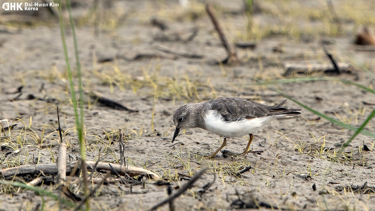 210905_050 화성호.jpg