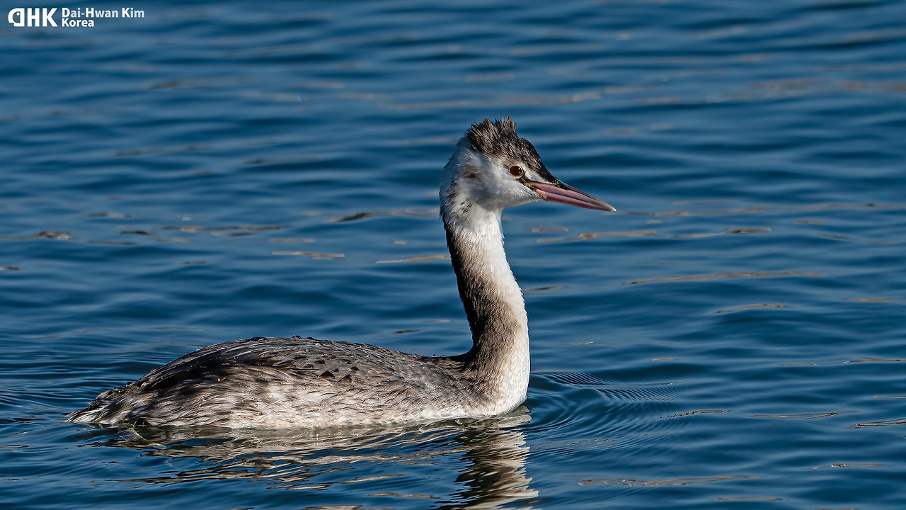 20250111-163 포항.jpg