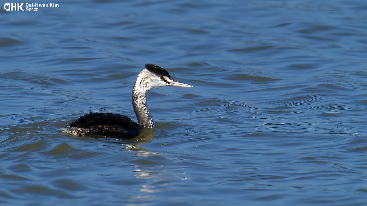 20051020-527 경포a.jpg