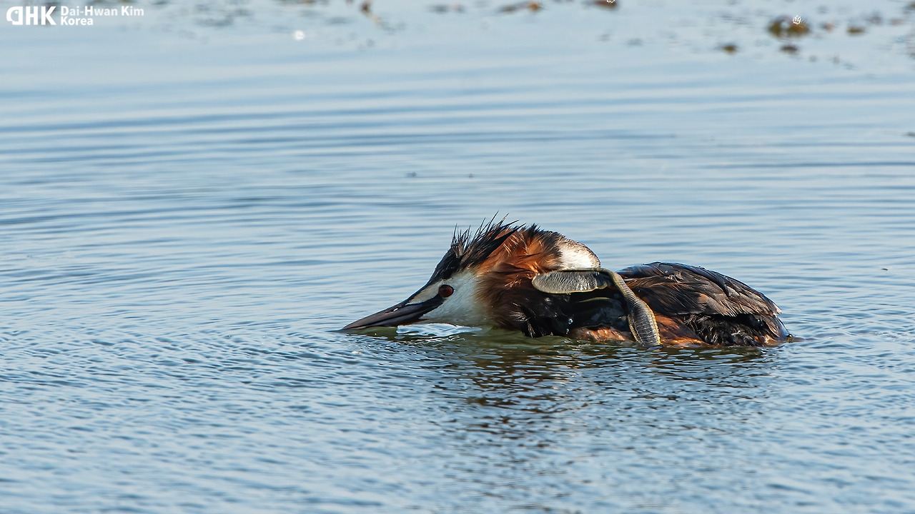 20130615_600 시화.jpg