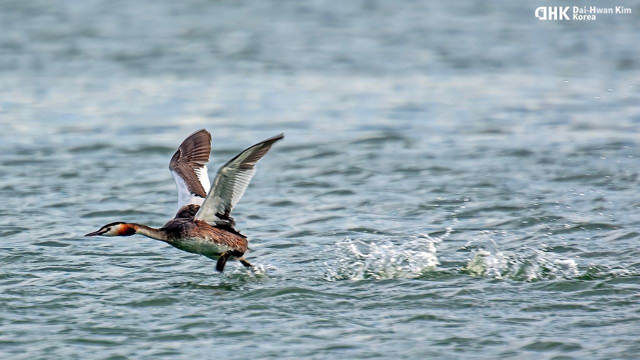 20060819-568 왕송저수지.jpg