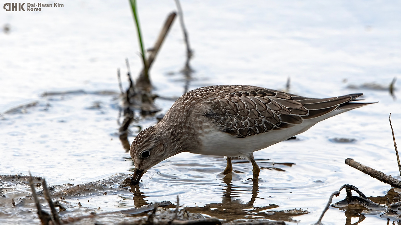 210905-316 화성호.jpg