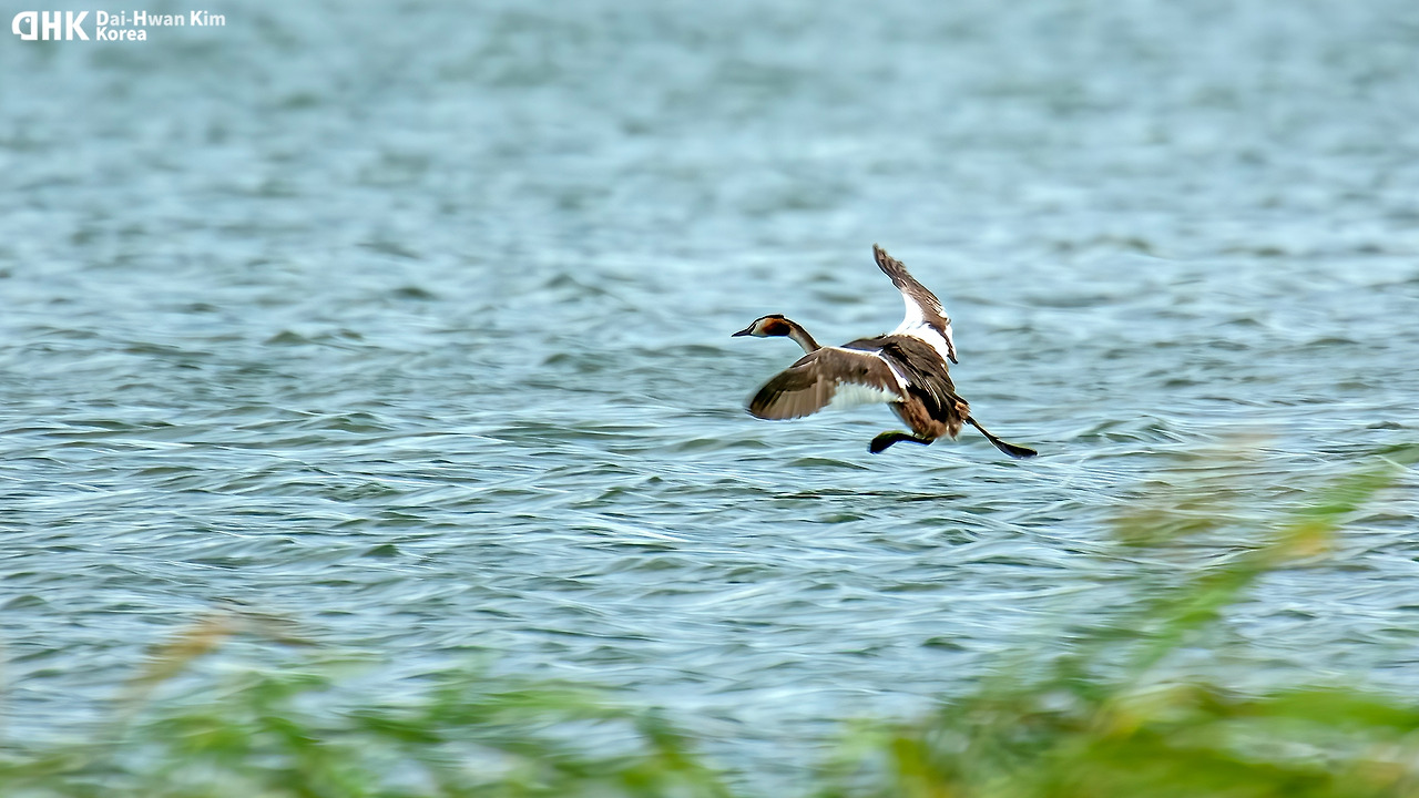 20060819-573 왕송저수지.jpg