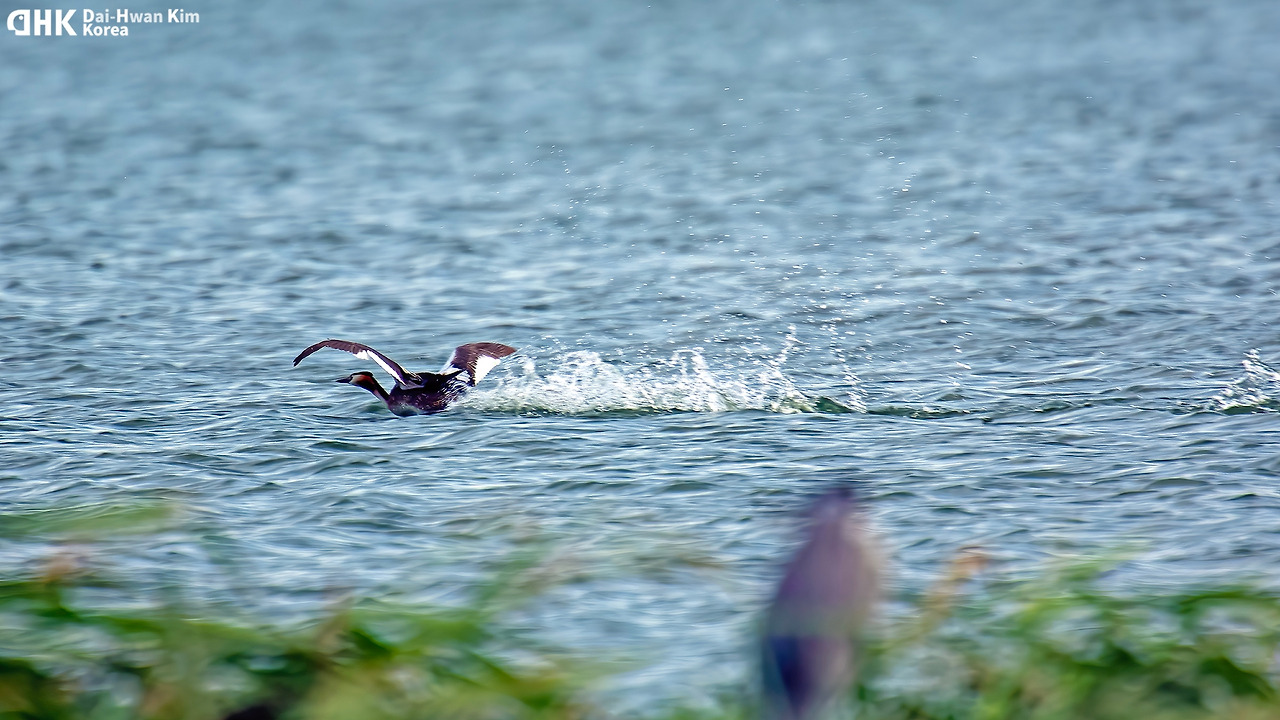 20060819-574 왕송저수지.jpg