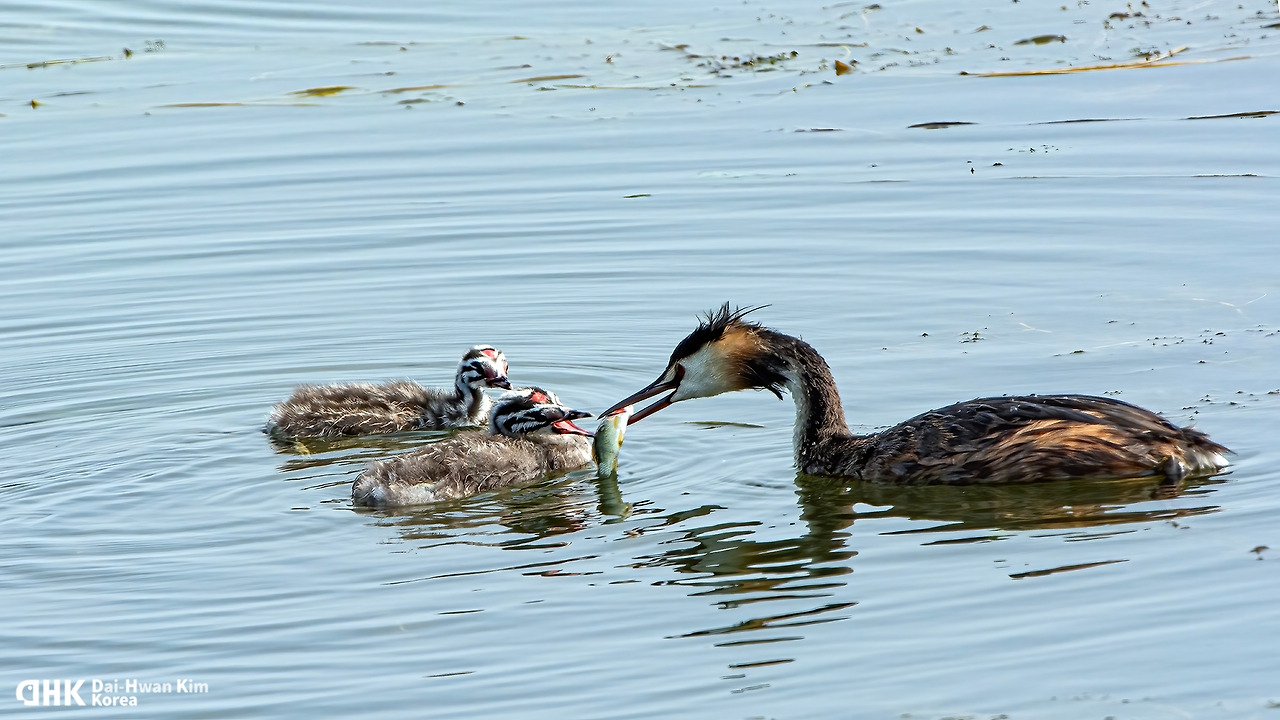 20130706_021 시화.jpg