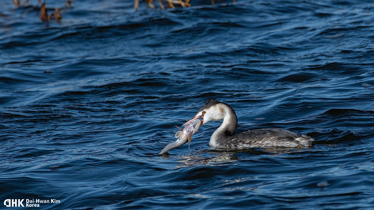 20171225-010 홍성.jpg