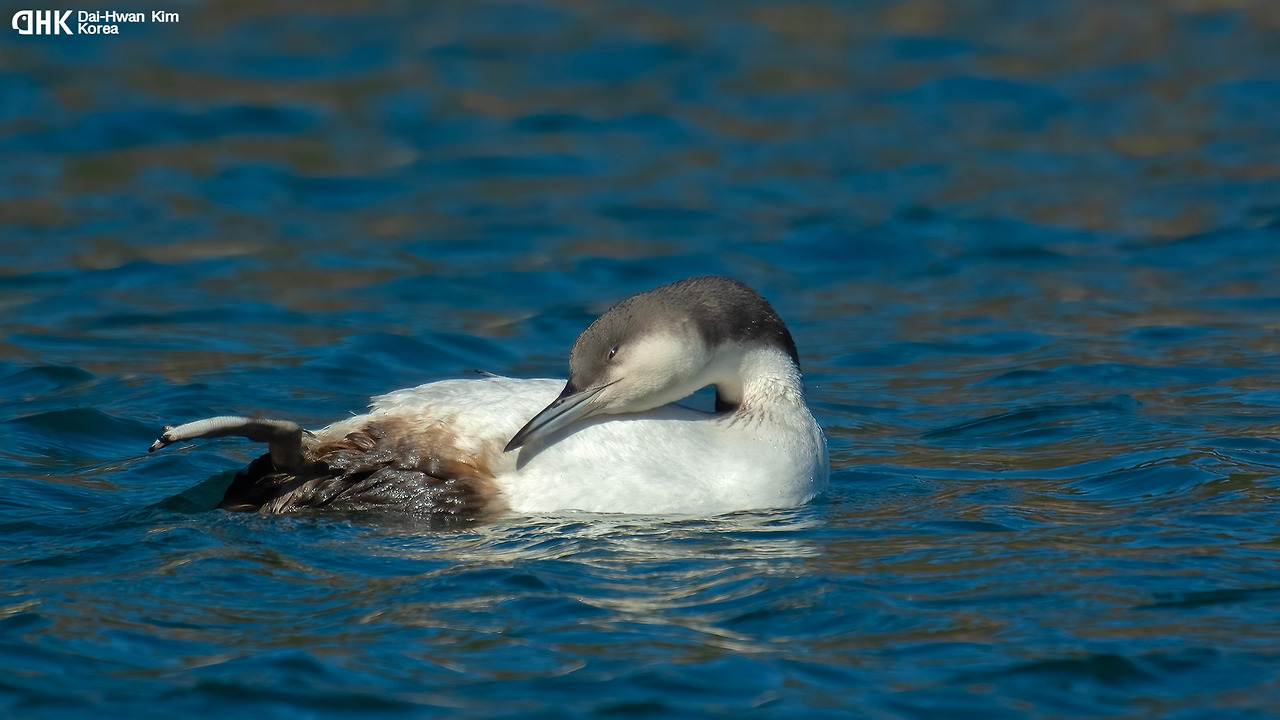 김대환 20070109 오산항-01.jpg