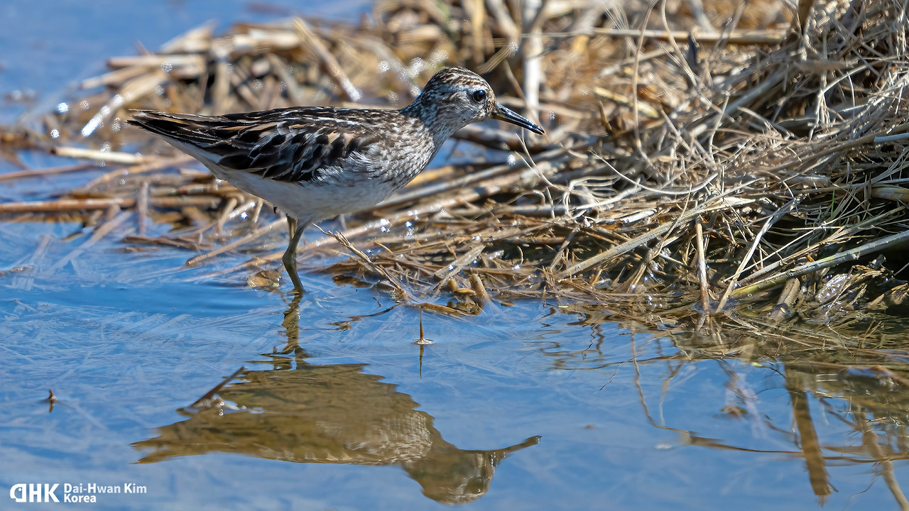 20240828_020 천수만 B지구.jpg