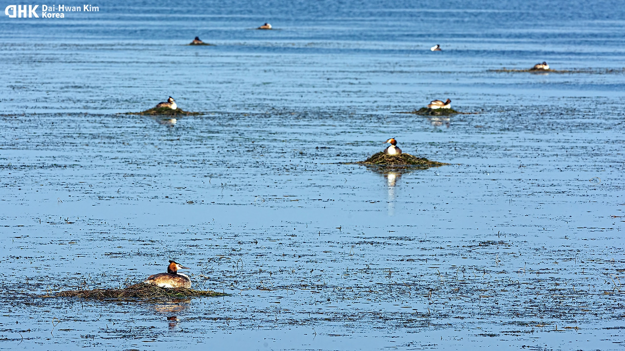 20130602_027 시화.jpg