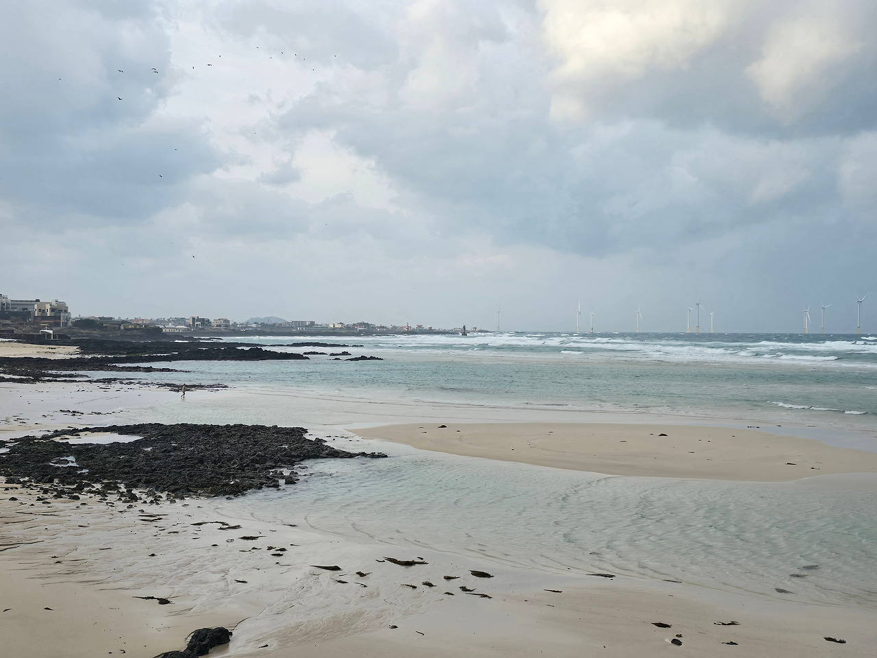 사본 -20250203_084833.jpg