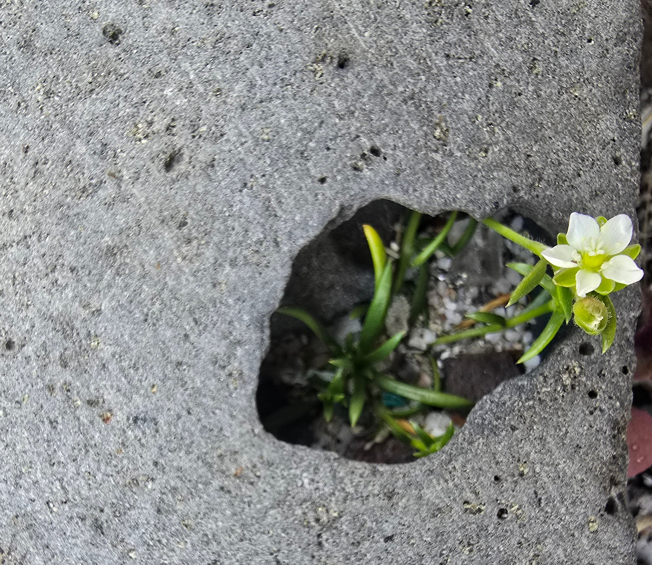 사본 -20250324_134510.jpg