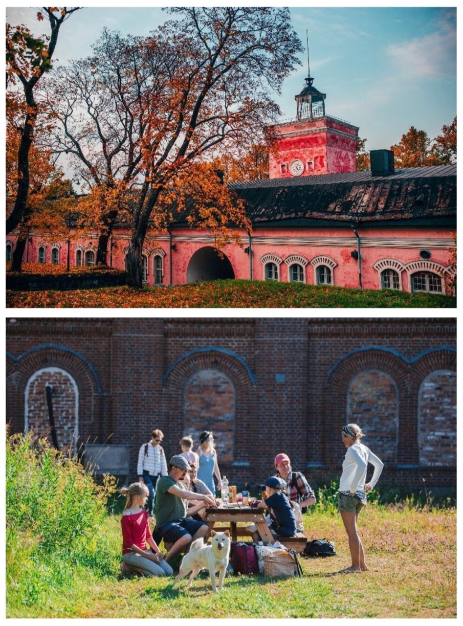 핀란드 자연힐링-2.jpg