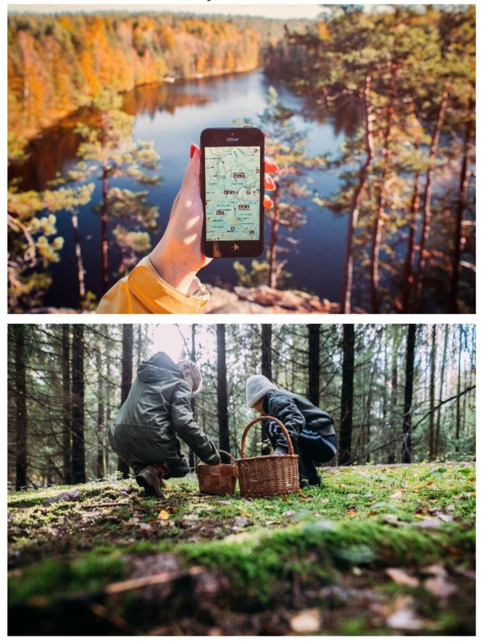 핀란드 자연힐링-5.jpg