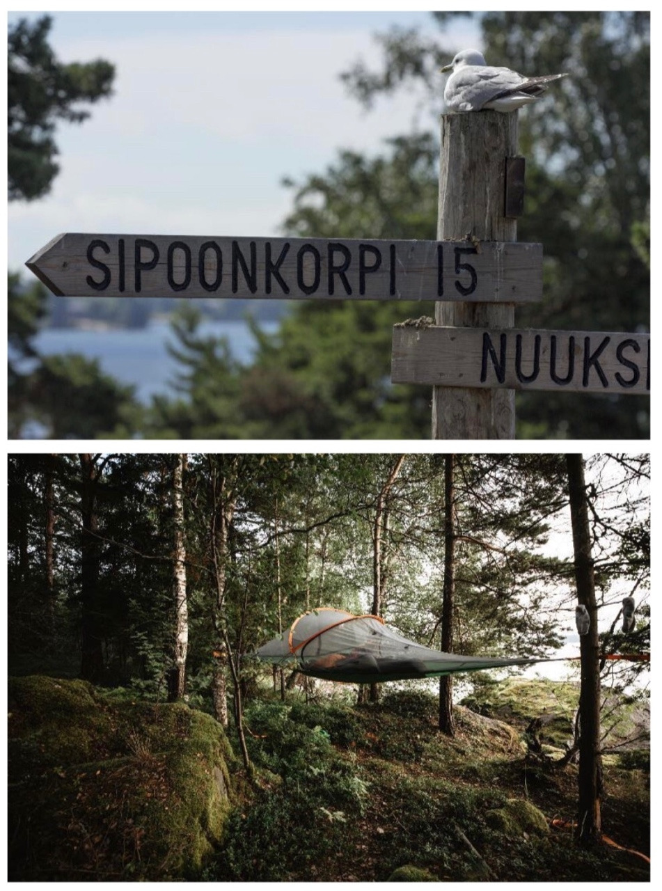 핀란드 자연힐링-6.jpg