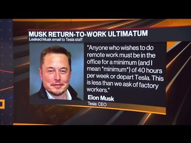 Elon-Musk-get-back-to-work.jpg