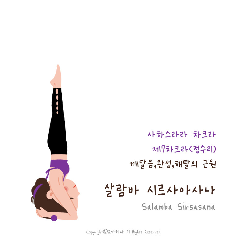 1차크라-철학 7.jpg