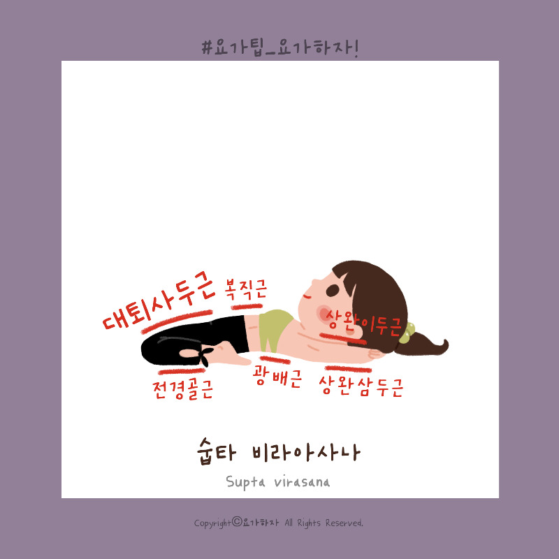 1비라아사나-근육4.jpg