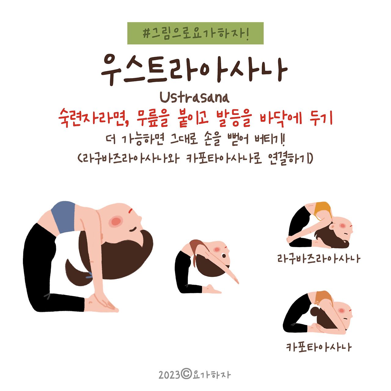 2023 2바른자세-4 우스트라아사나4.jpg