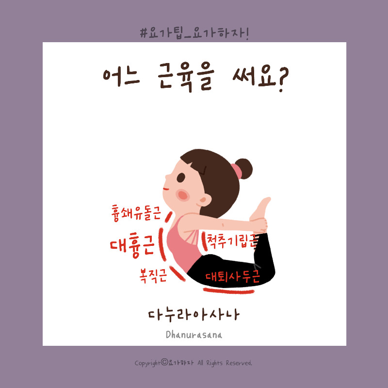 2 우스트라아사나-근육3.jpg