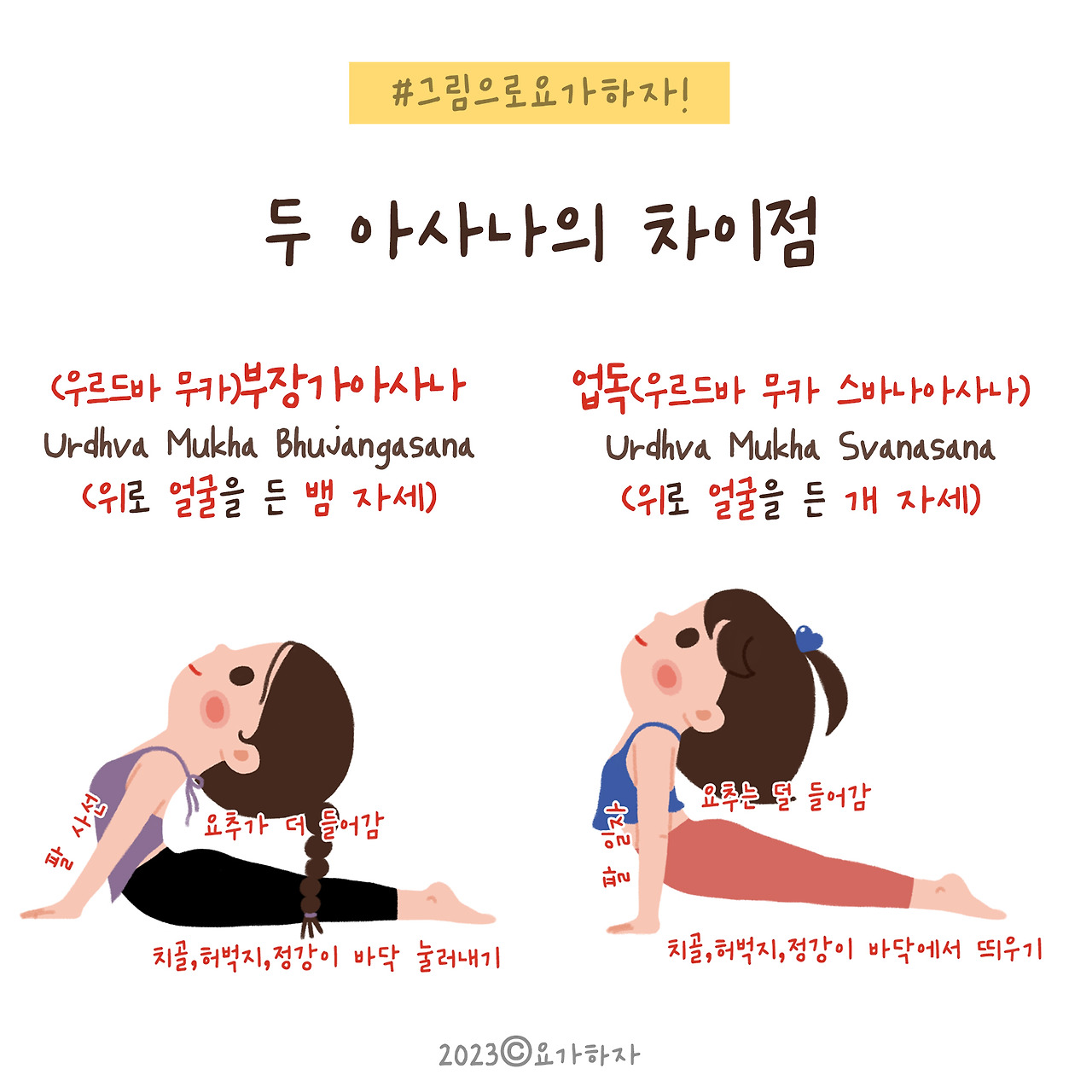 2023  그것을 알아보자1 부장가 업독3.jpg