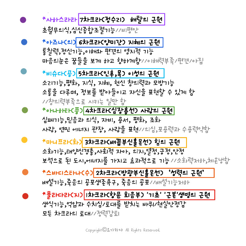 1차크라-철학 8.jpg