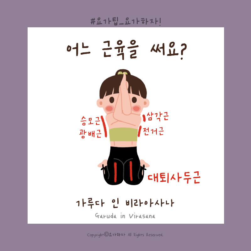 1비라아사나-근육2.jpg