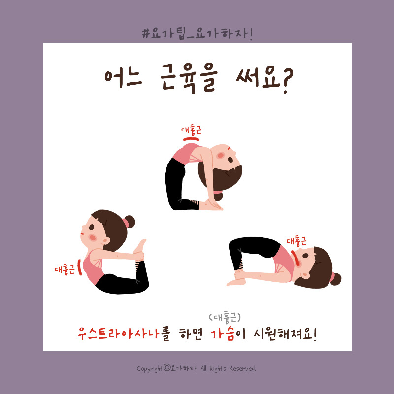 2 우스트라아사나-근육.jpg