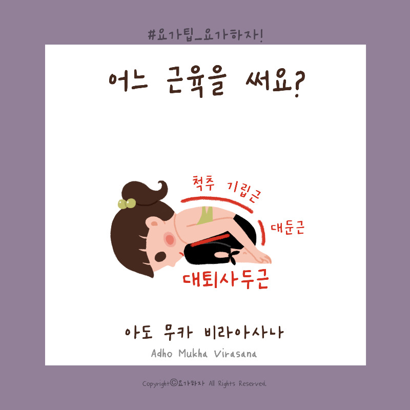 1비라아사나-근육3.jpg