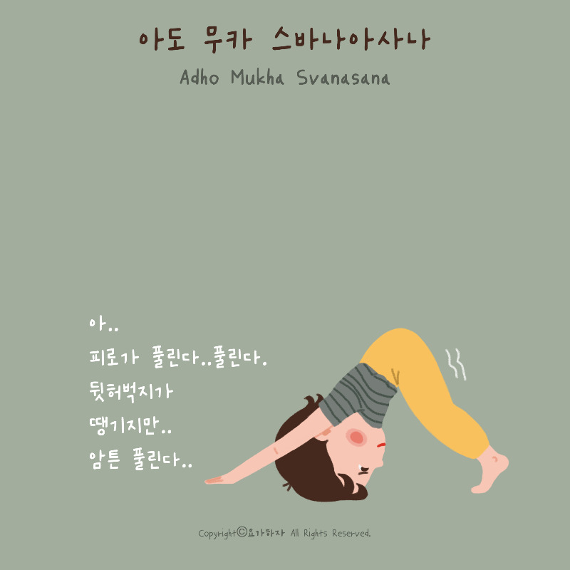 2-33. 아도무카스바나아사나1.jpg