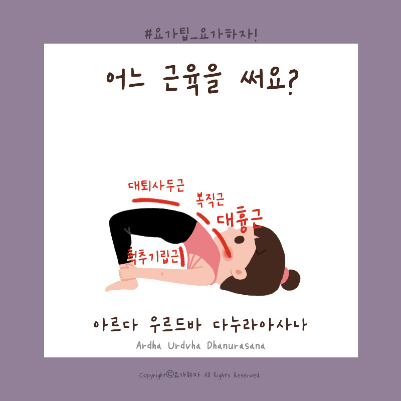 2 우스트라아사나-근육4.jpg