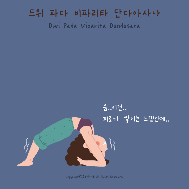 5-177. 드위파다 비파리타 단다아사나1.jpg