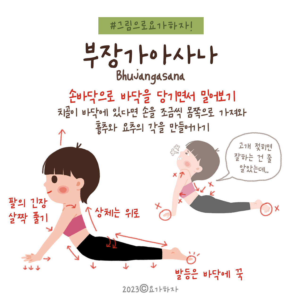 2023 2바른자세-12. 부장가아사나2.jpg