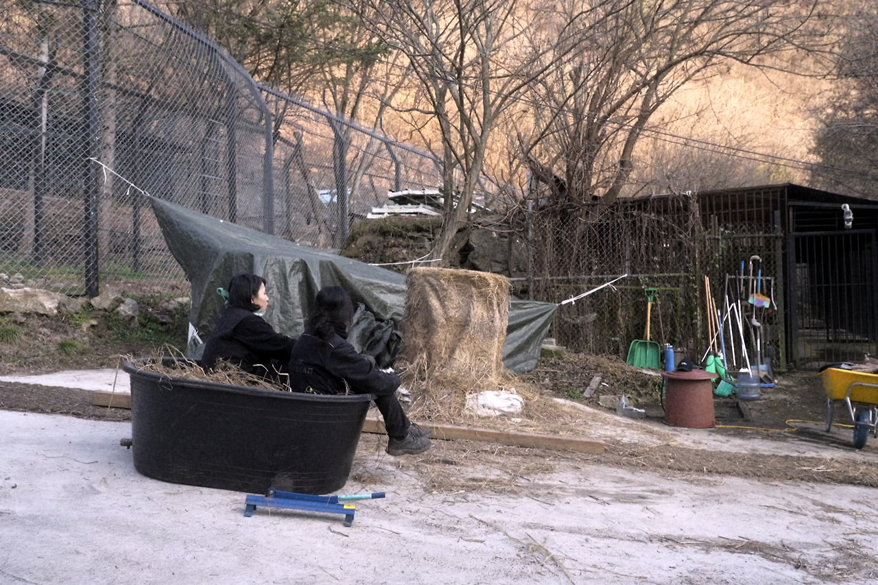 3_WA-DC_단지, 우리가 잠시 머무는 곳_Where We Stay for a While.jpg