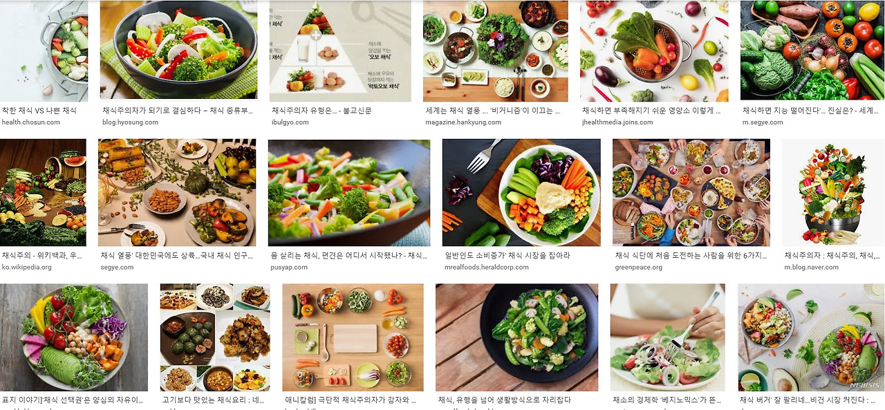 채식 검색 결과.jpg