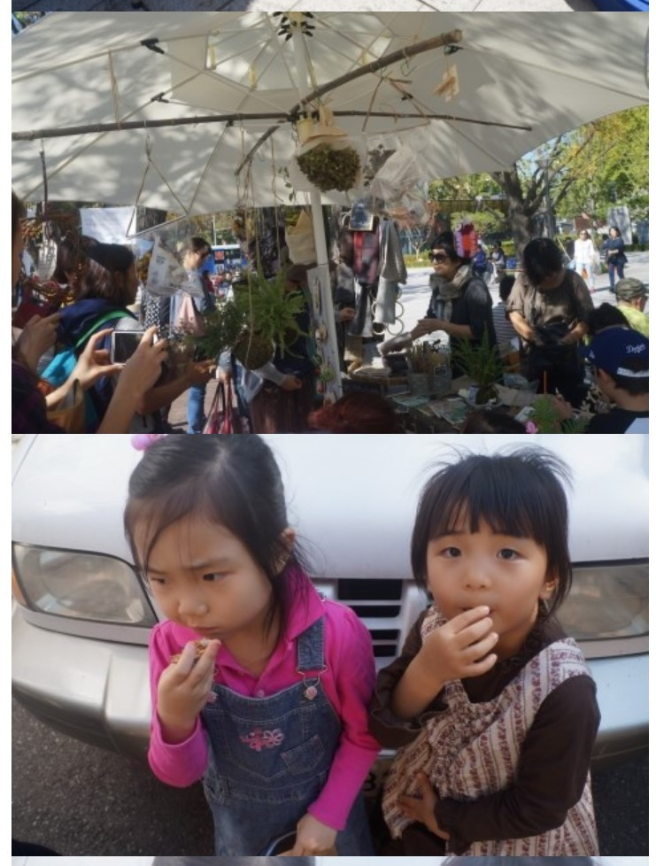 화면 캡처 2022-12-28 123826.jpg