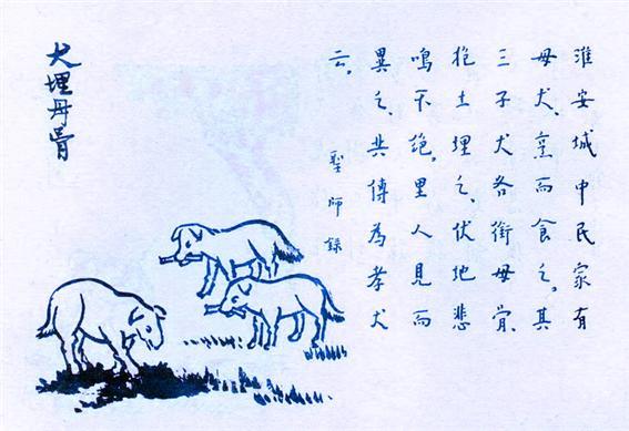 352. 犬埋母骨.jpg