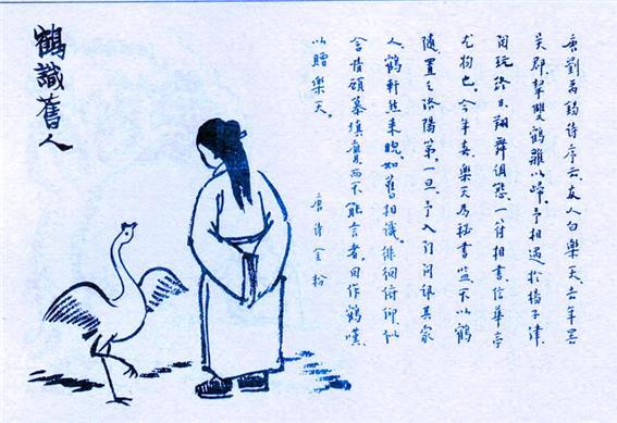 377. 鶴識舊人.jpg