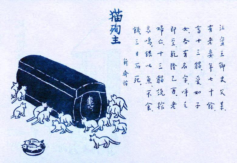 361. 貓殉主.jpg